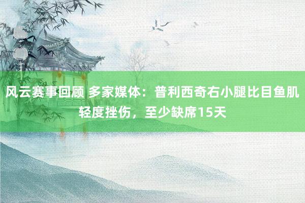 风云赛事回顾 多家媒体：普利西奇右小腿比目鱼肌轻度挫伤，至少缺席15天